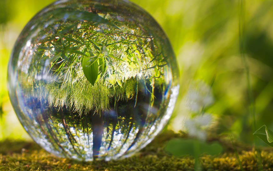 A-t-on vraiment besoin d’un Ministère de l’Ecologie ?