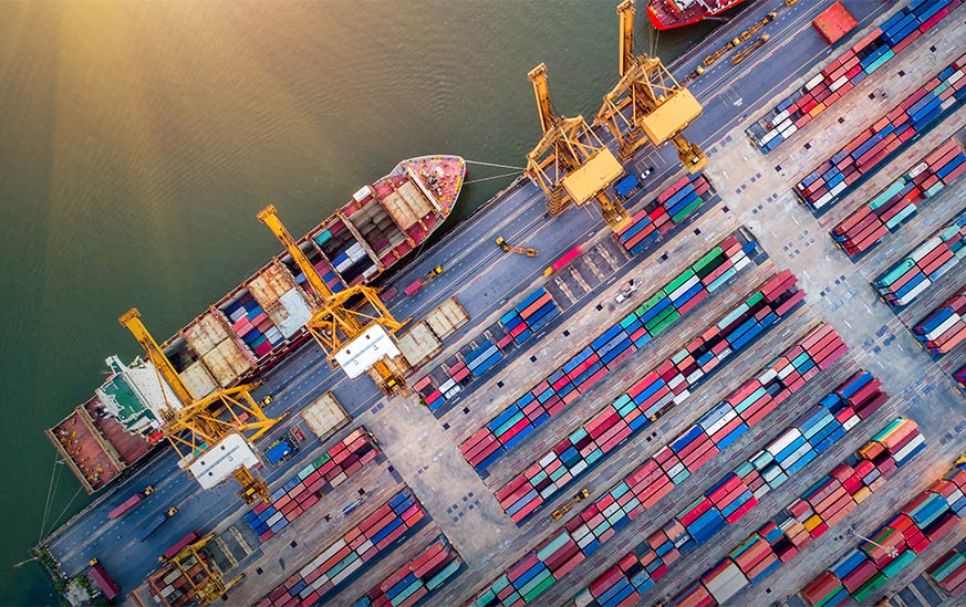 Contrôle à l’importation des denrées alimentaires d’origine non animale à Marseille et au Havre