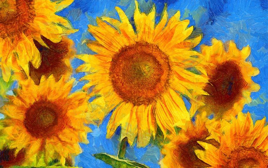 Les tournesols