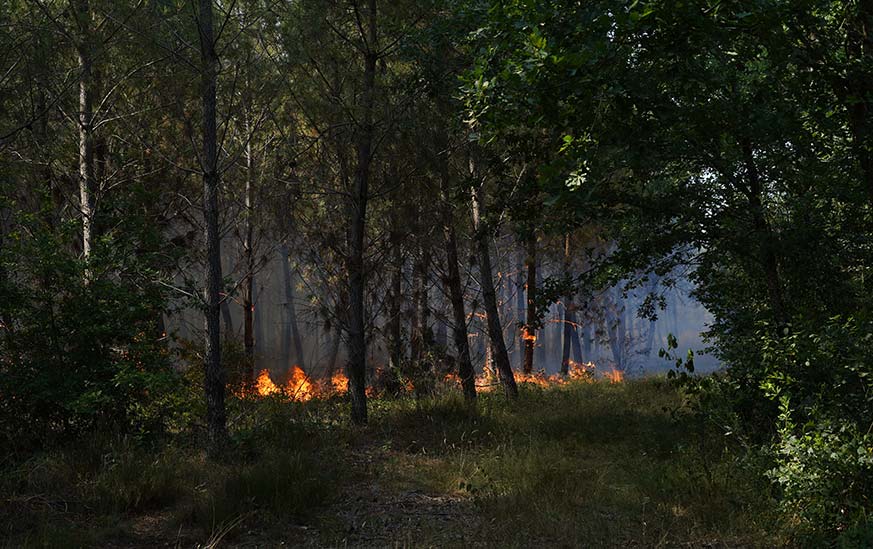 Feux de forêt en Gironde : mise en œuvre de dérogations temporaires aux règles en matière de temps de conduite et de repos