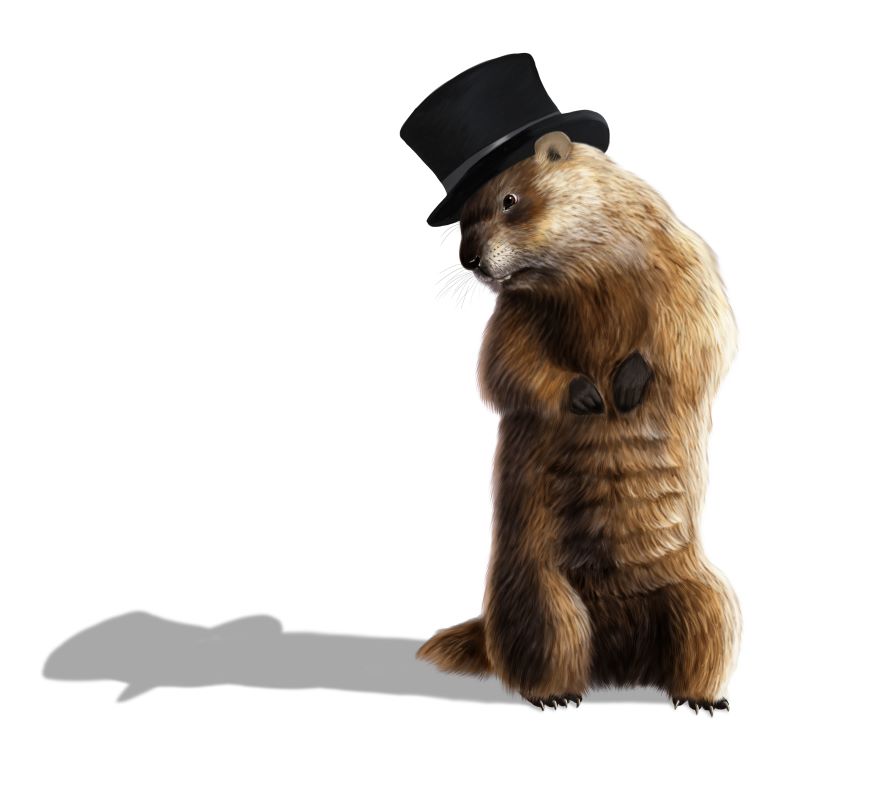 Le jour de la marmotte